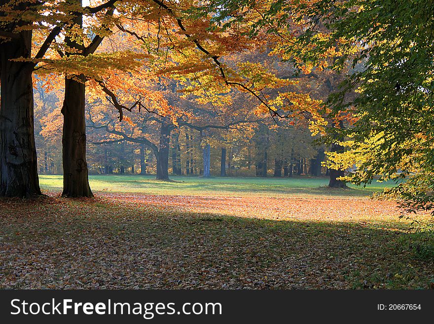 Fall or autumn landscape in a park. Fall or autumn landscape in a park