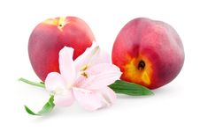 Two Peaches And Alstroemeria Royalty Free Stock Photo Two Peaches And Alstroemeria Royalty Free Stock Photo