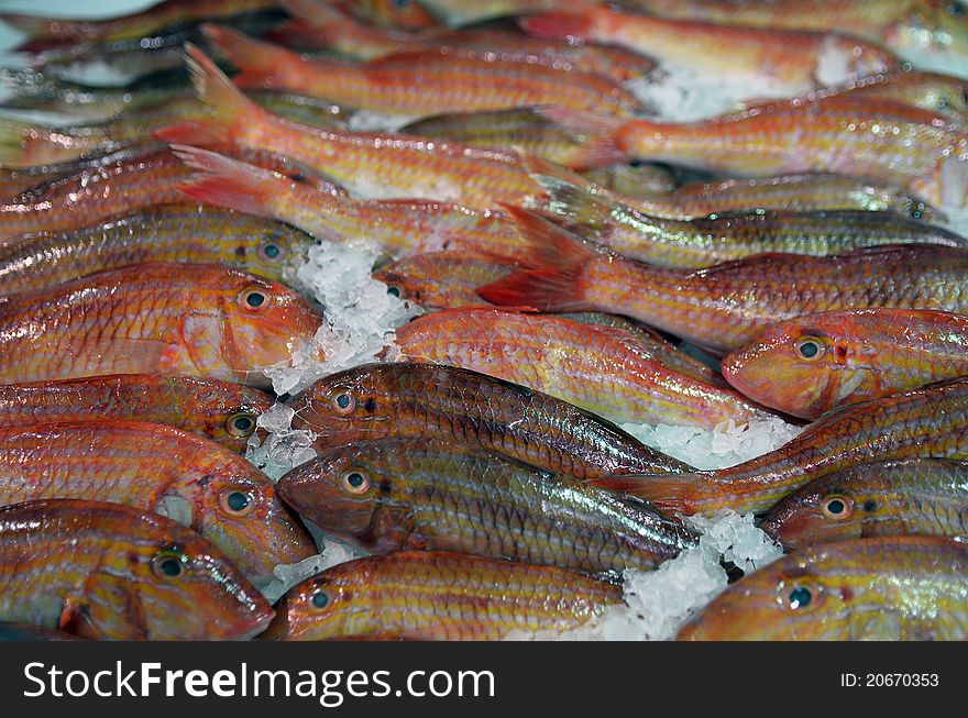 Baskets of surmullet fish for sale in a wet market