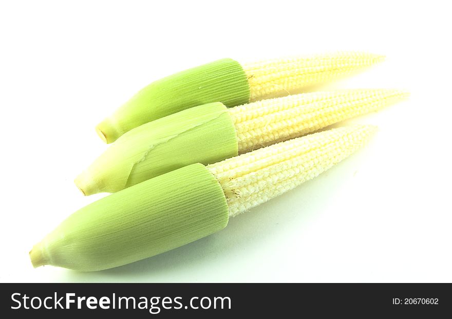 Baby corns shot on white background.