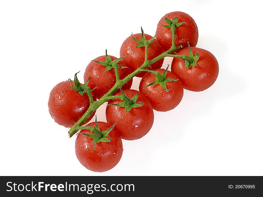 Fresh Tomatoes