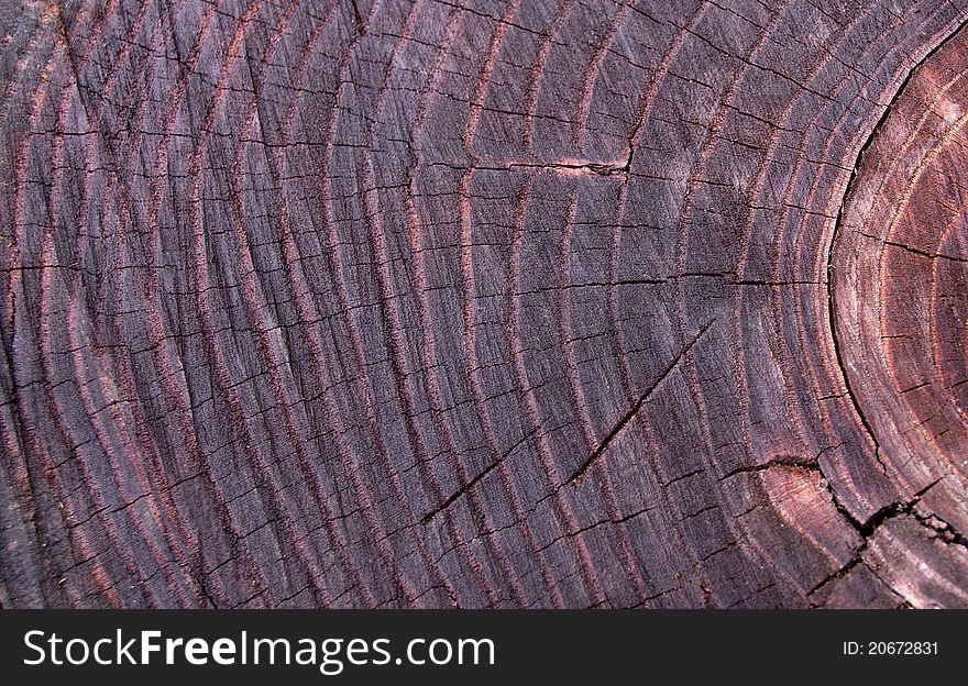 Old original wooden cut texture and background