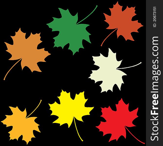 Set Of Colorful Maple Leaves