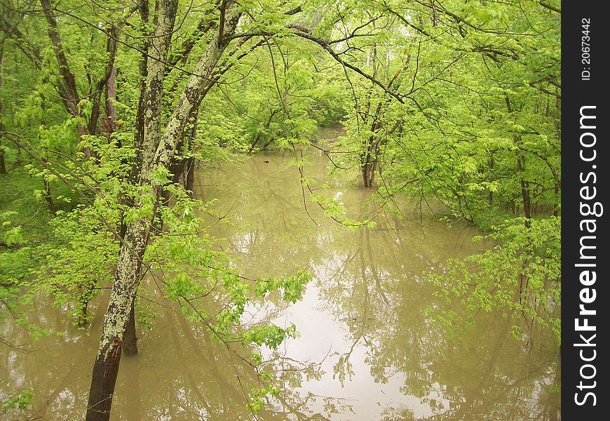 A little creek on a hill that got flooded. A little creek on a hill that got flooded