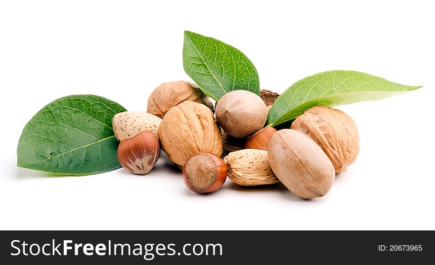Studio shot of nuts collection with green leafs on white background