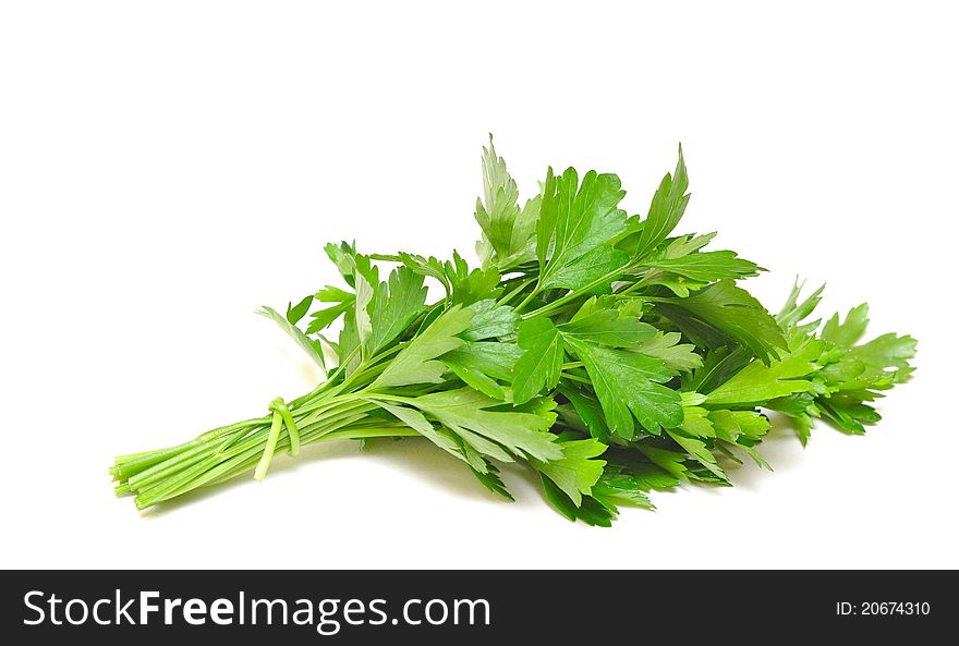 Fresh green parsley on a white background