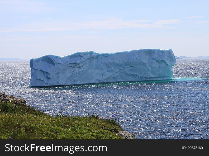 Huge Iceberg near harbour in Goose Cove
