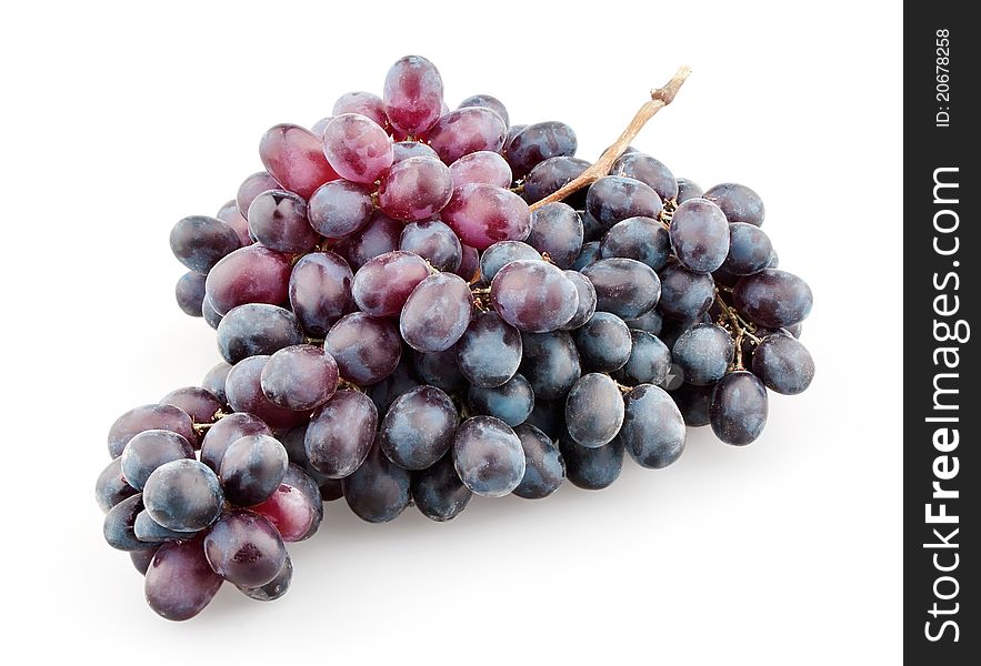 Branch of black grapes on white background