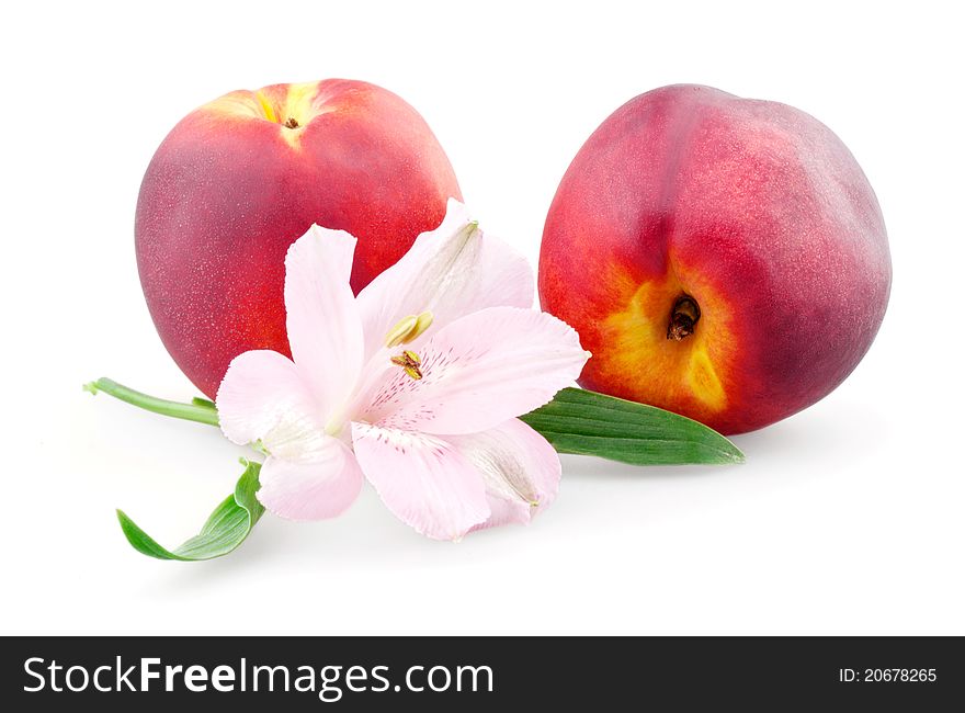 Two peaches and alstroemeria on white background