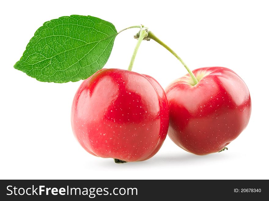 Sweet apples on white background. Sweet apples on white background