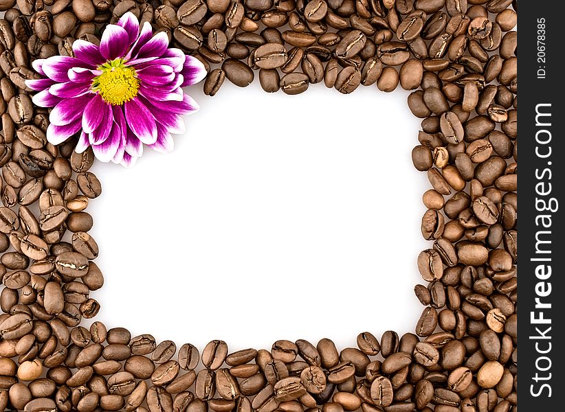 Frame made of coffee beans and chrysanthemums