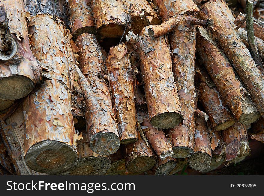 Dry pine firewood in a pile
