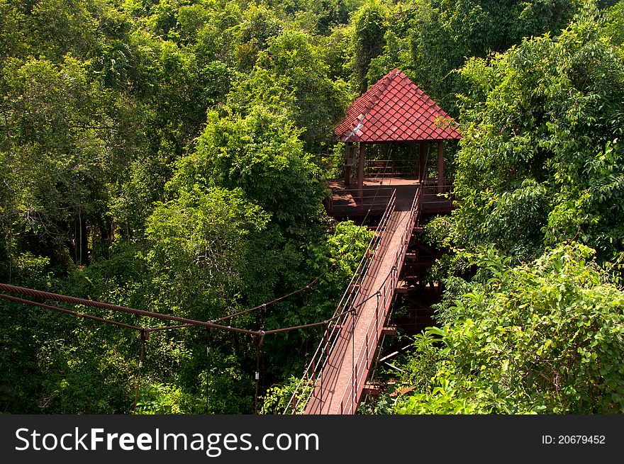 Bridge and Tower in Forest at Southern, Thailand.