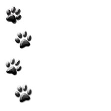 Footprint Stock Image