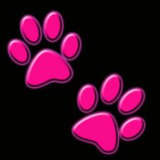 Footprint Stock Image