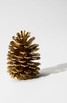 Pine Cone Royalty Free Stock Photos Pine Cone Royalty Free Stock Photos