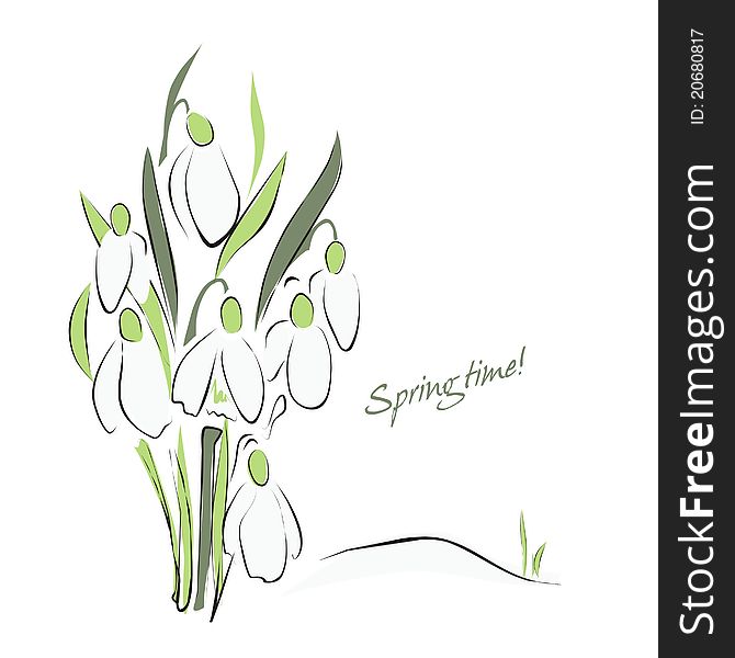 Greeting card with gentle snowdrops.