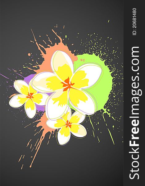 Beautiful bright colorful flowers ( illustration). Beautiful bright colorful flowers ( illustration)