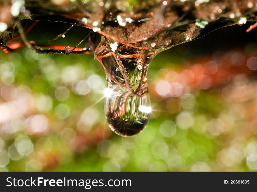 Macro picture of a drop of water