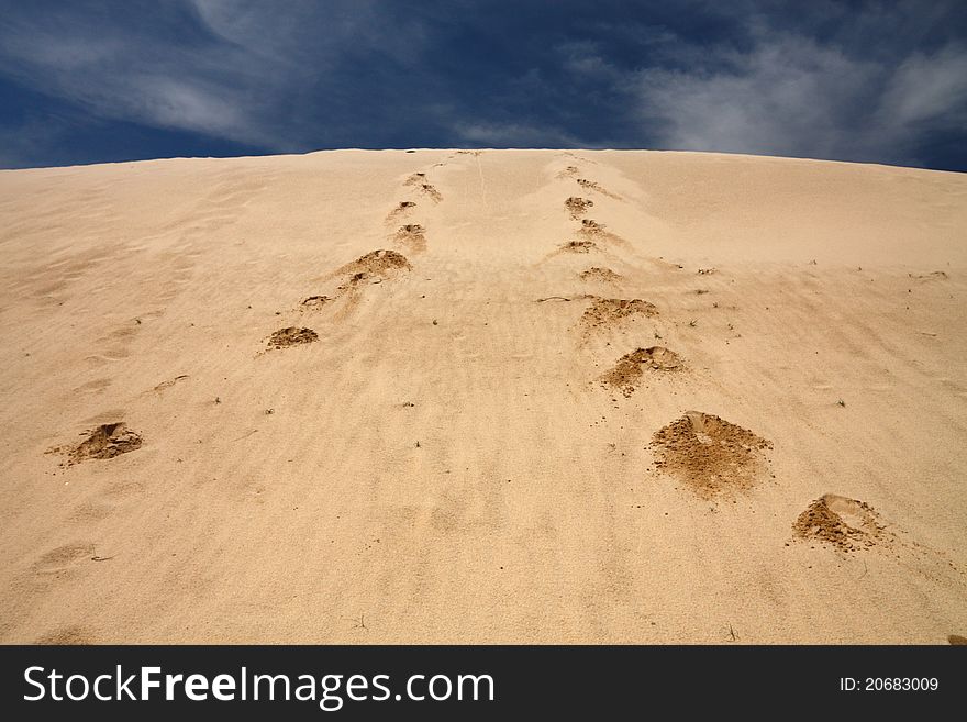 Footprints in sand dune