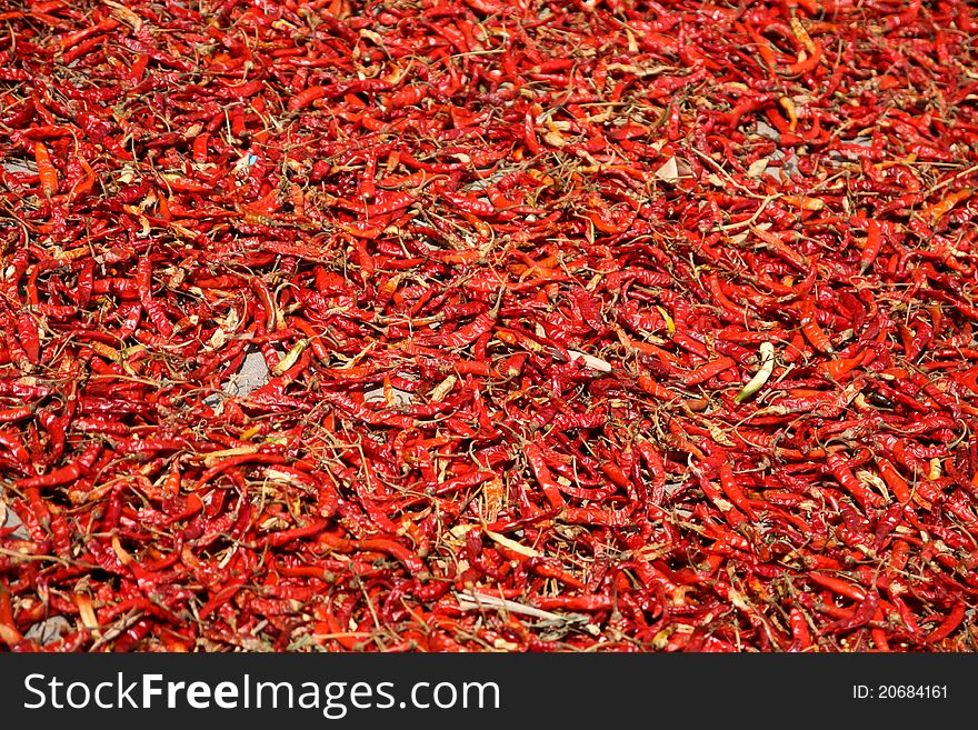 Red chilli peppers drying on the sun - Vietnam