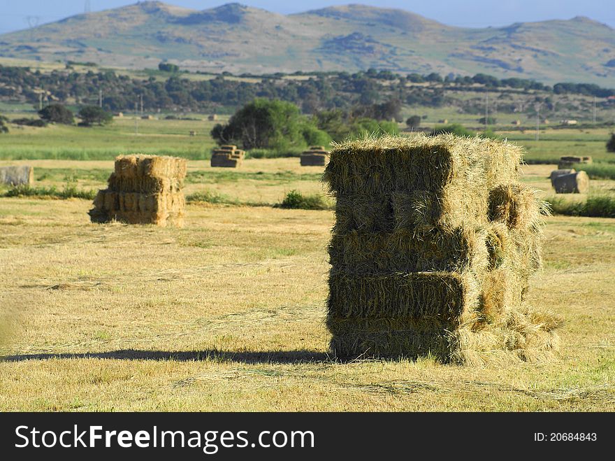 Square bales of hay or straw