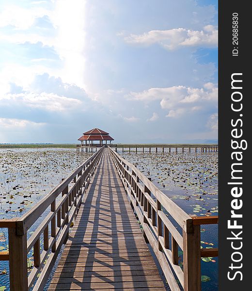 Bridge in the swamp lotus, Thailand. Bridge in the swamp lotus, Thailand