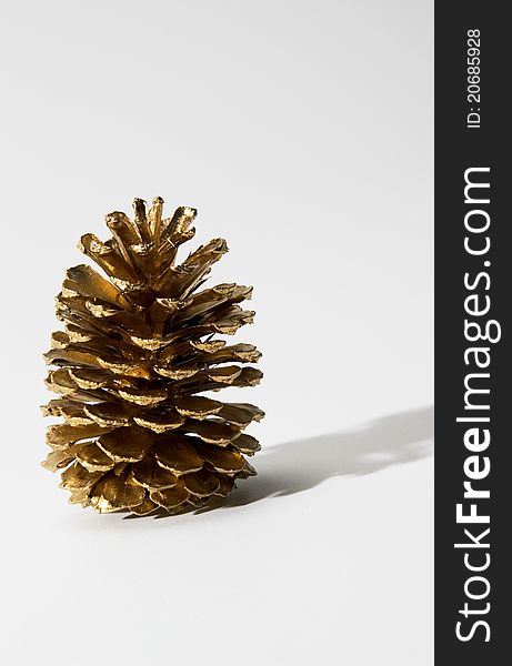 Pine cone