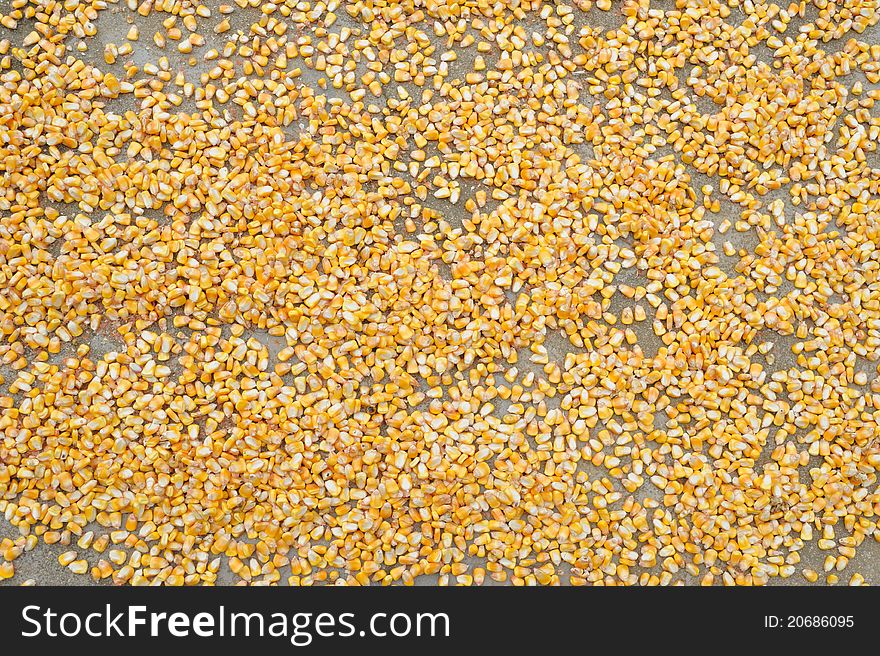 Closeup of yellow corn meal.