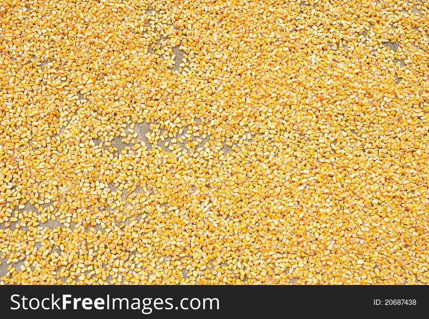 Closeup of yellow corn meal.