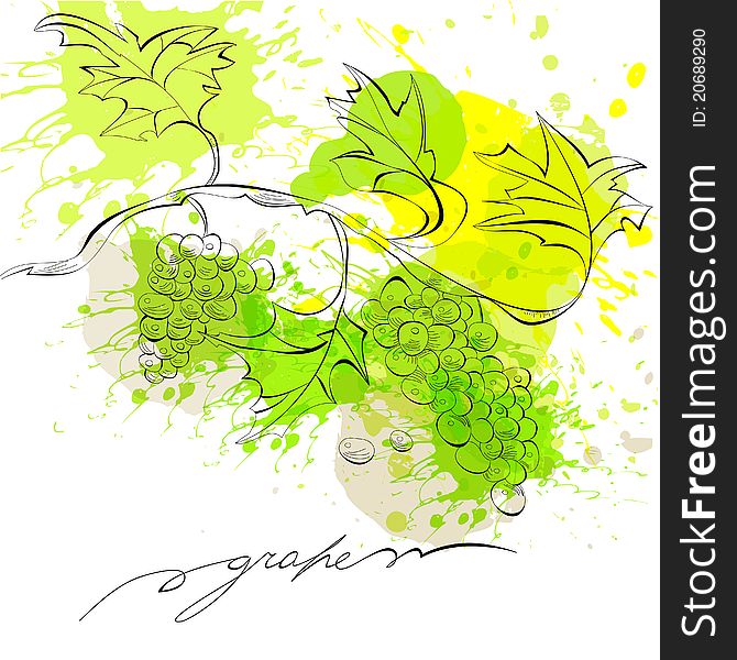 Colorfu Sketch of grapes with inscription