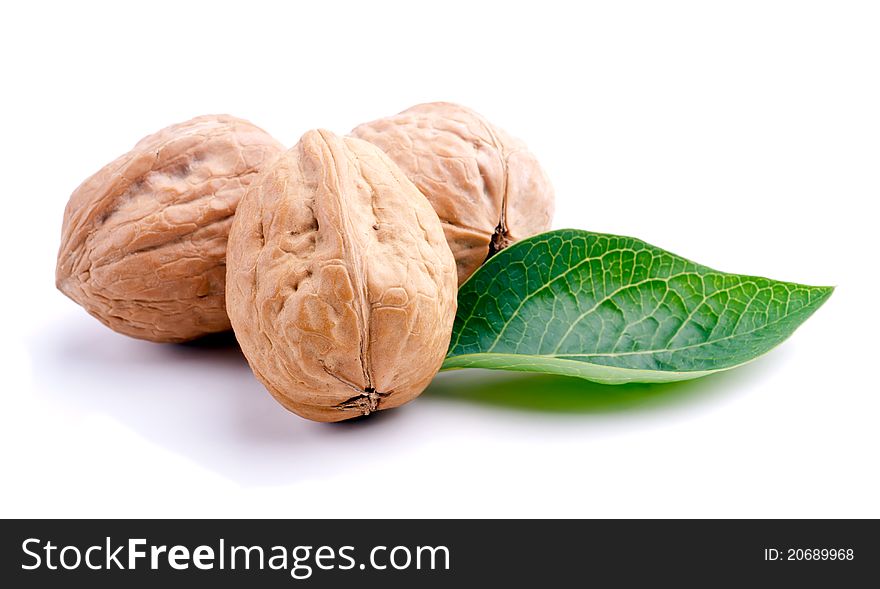 Studio shot of walnuts with leaf on white background