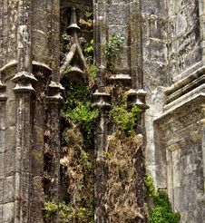 Overgrown Wall Of Seville Cathedral Stock Image Overgrown Wall Of Seville Cathedral Stock Image