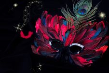 Carnival Mask Stock Image Carnival Mask Stock Image