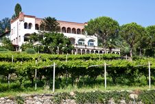 Italian Charming Villa In Vineyard Royalty Free Stock Images Italian Charming Villa In Vineyard Royalty Free Stock Images