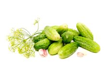 Cucumbers Stock Photos Cucumbers Stock Photos