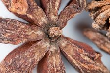 Star Anise Stock Image Star Anise Stock Image
