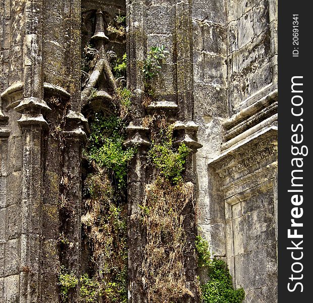 Overgrown wall of Seville Cathedral