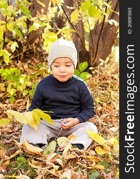 Little happy boy walking in autumnal park