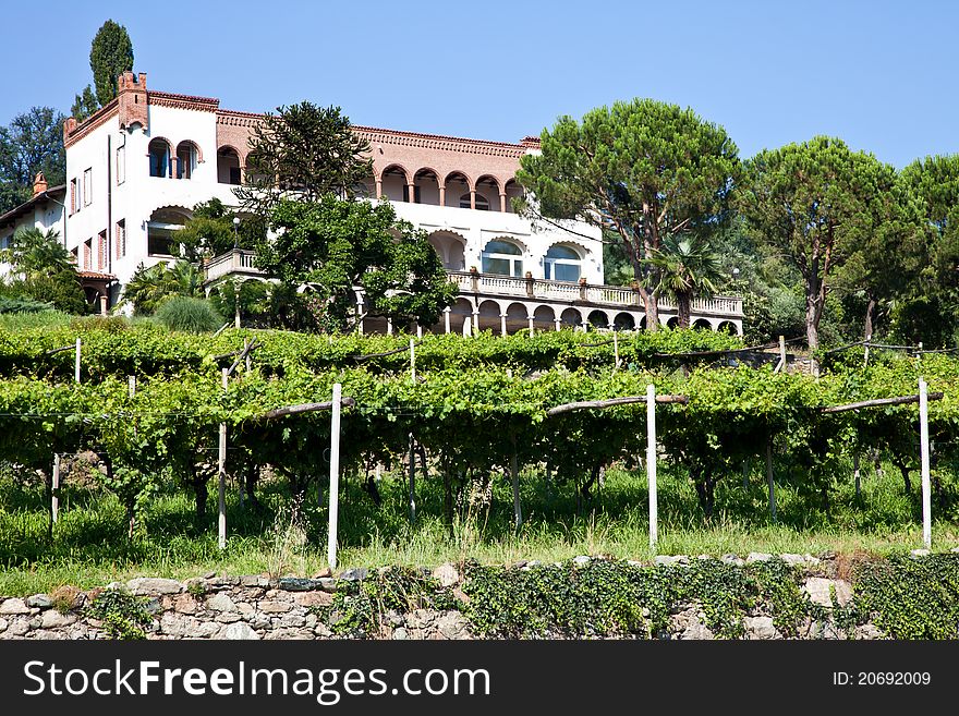 Tuscany, Italy. Italian luxury villa in the country, close to a Lambrusco vineyard. Tuscany, Italy. Italian luxury villa in the country, close to a Lambrusco vineyard