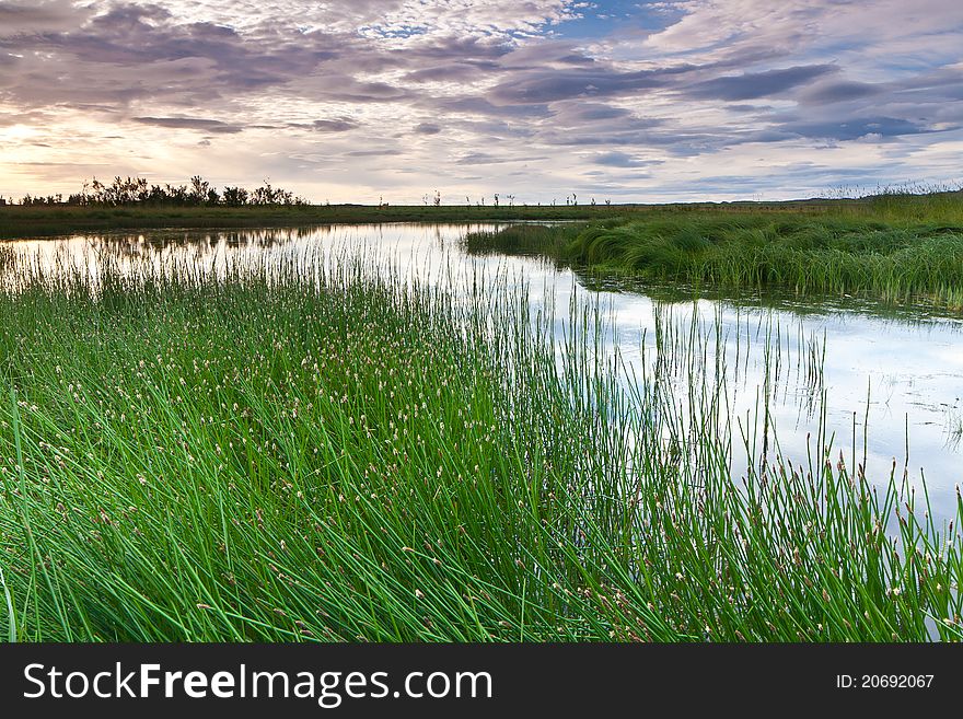 Small pond near Akranes town in west part of Iceland. - Sun was shining through the clouds pointing down to the trees in the background. Small pond near Akranes town in west part of Iceland. - Sun was shining through the clouds pointing down to the trees in the background.