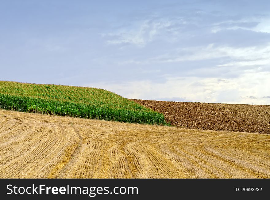A patchwork of harvested and cultivated fields,. A patchwork of harvested and cultivated fields,