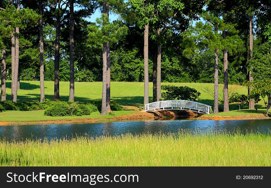 Peaceful pond and meadow with a bridge. Peaceful pond and meadow with a bridge