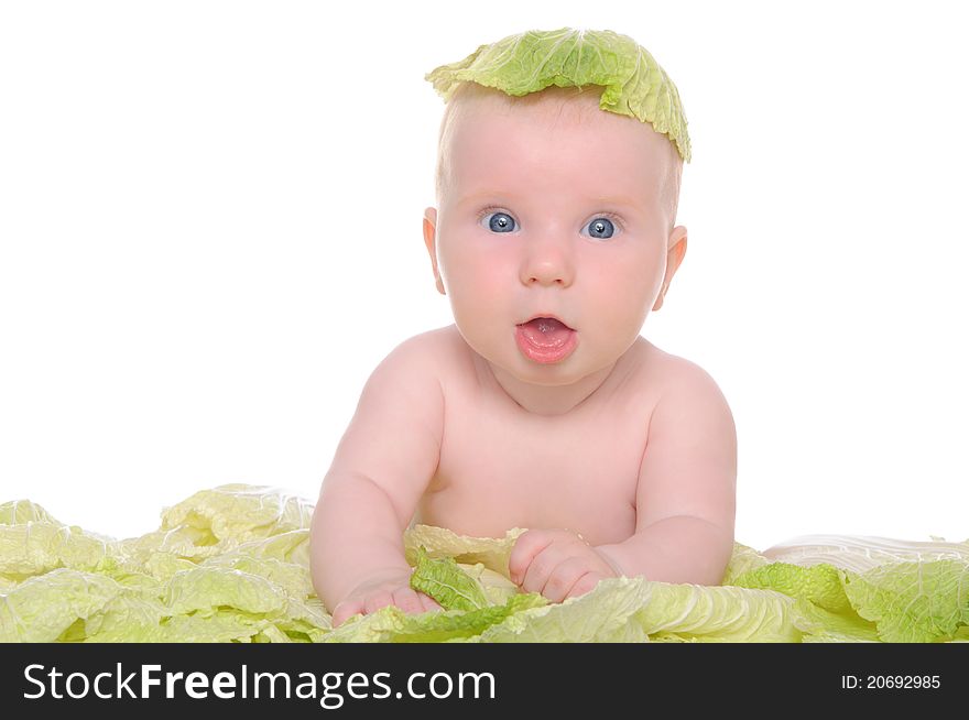 Small Child Sitting Among The Cabbage Leaves