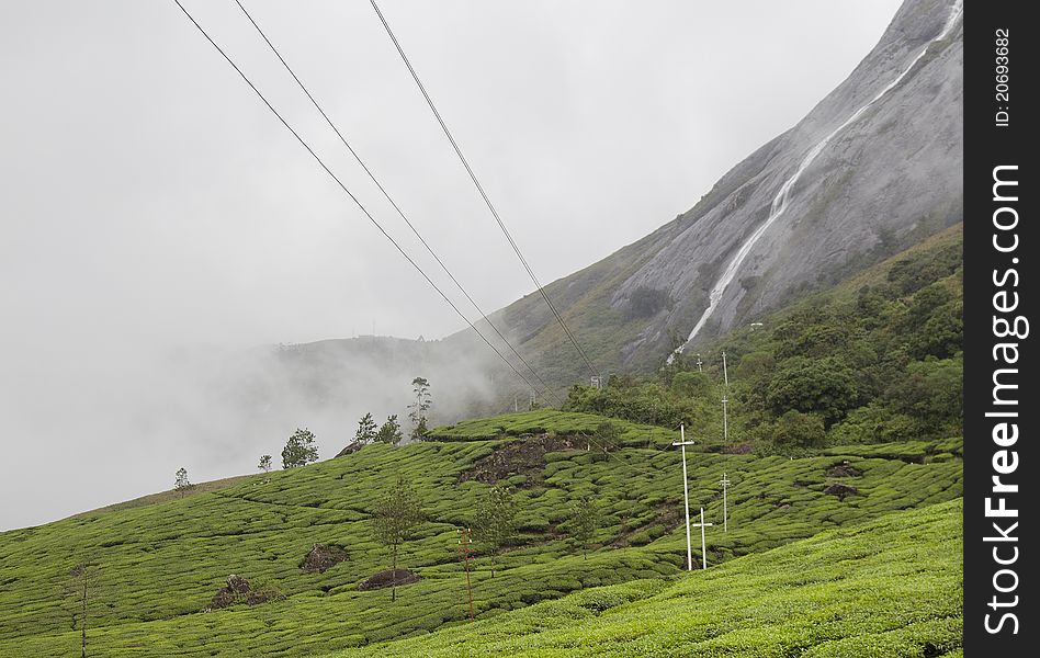 Waterfalls in a tea estate