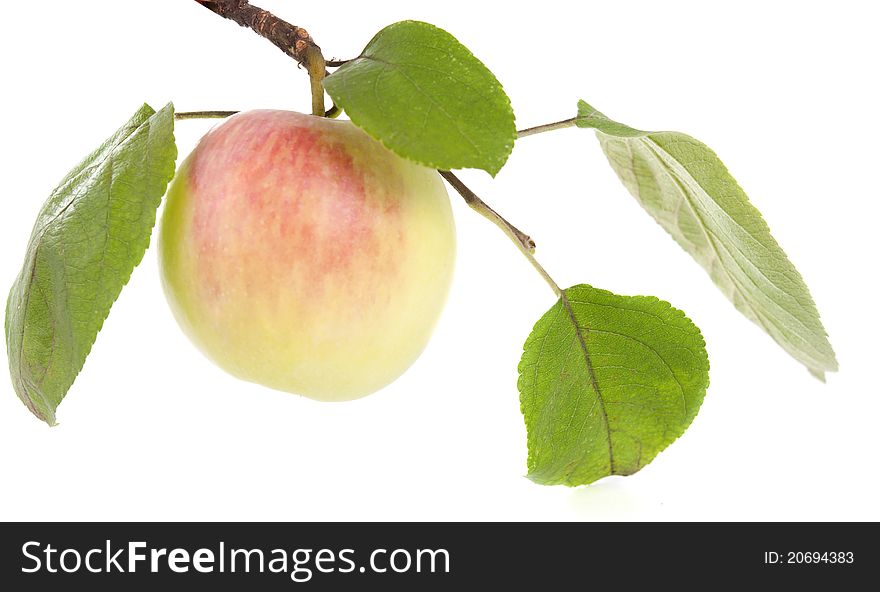Apple with leaves