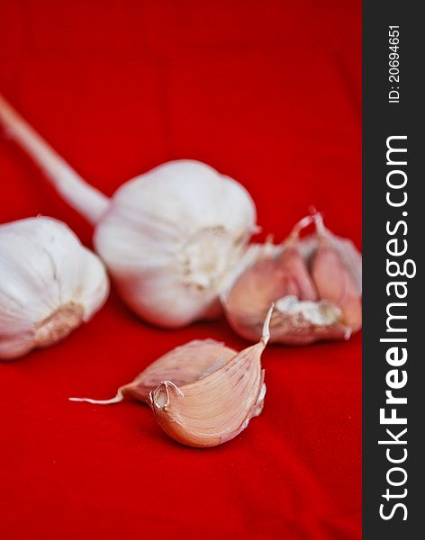 Garlic isolated on red baclground