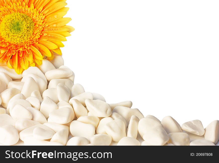 Flower and white pebbles isolated on white