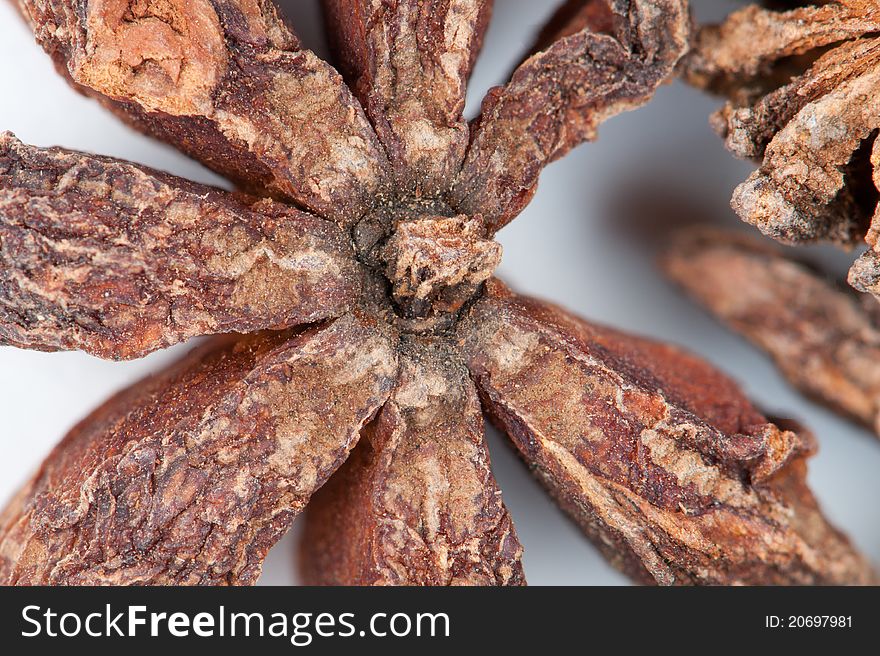 Closeup of a star anise seed