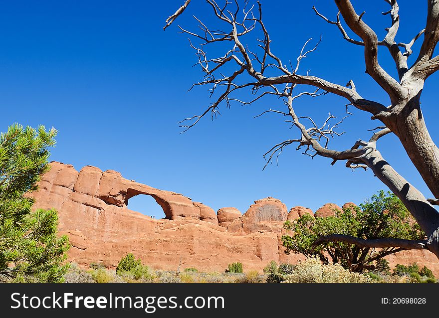 Strange rock formations at Arches National Park, USA